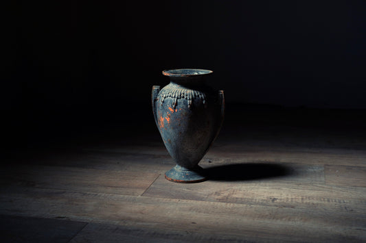 メディシス F044