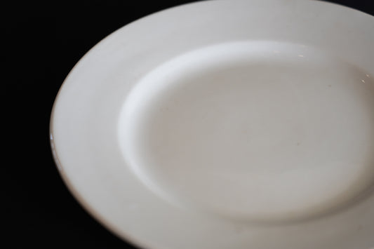 ディナープレート AH&Co R069-2