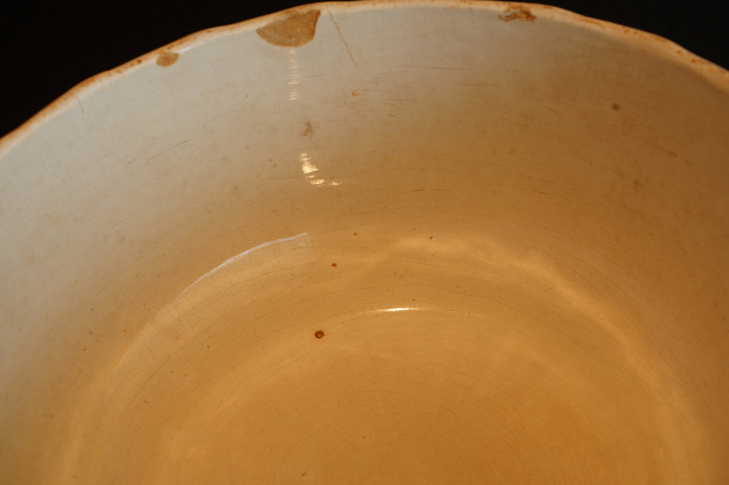 サラディエ ディゴワン&サルグミンヌ R064