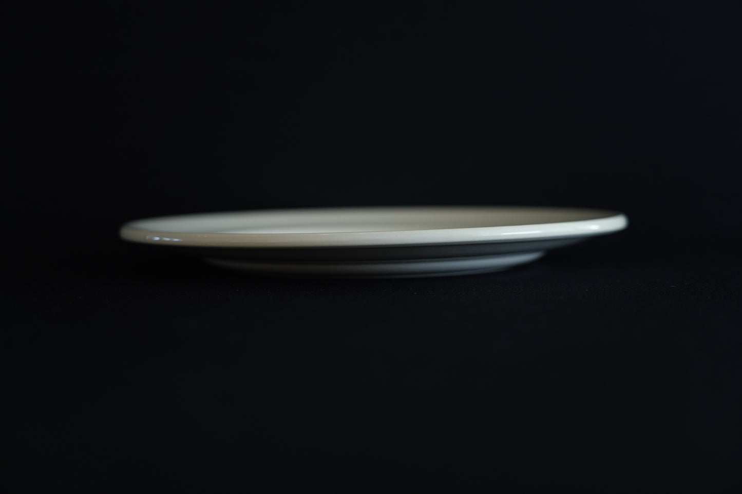 ディナープレート サルグミンヌ R159-3