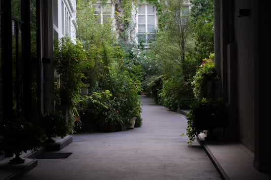 petit 14e 1st anniversary ＆ petit14e 閉店お引越しのお知らせ