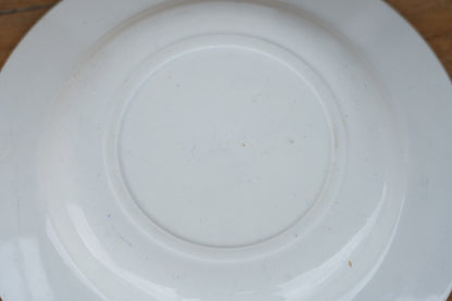 スープ皿　No,SPL2608097