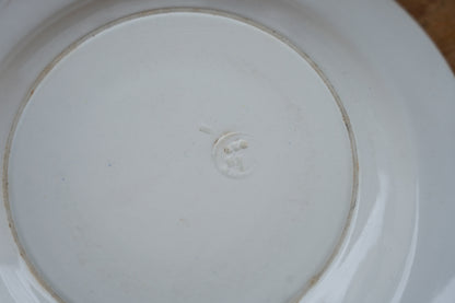スープ皿　No,SPL2608098